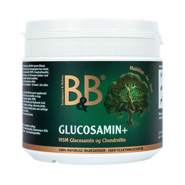 Glucosamin +