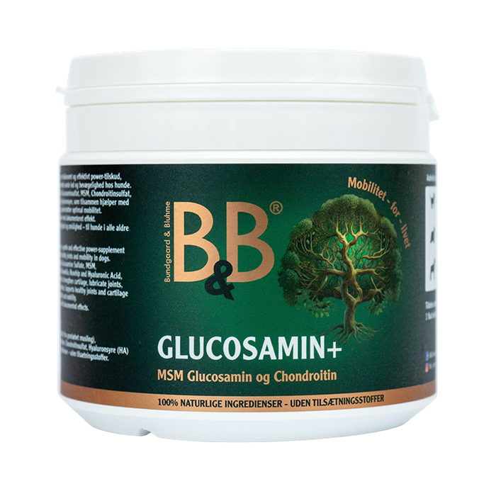 Glucosamin +