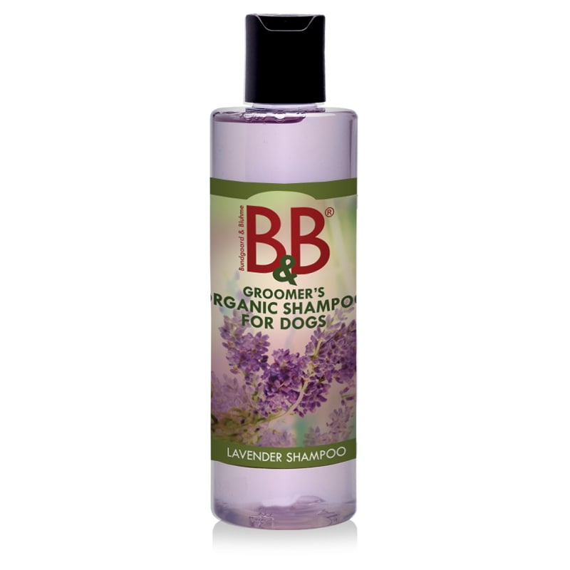 Økologisk Lavendel Shampoo