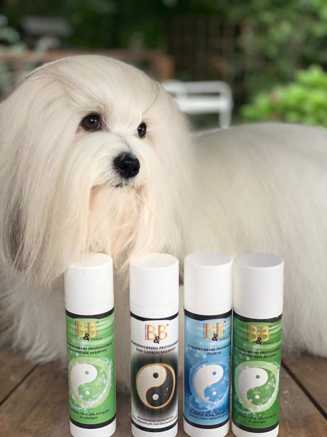 B&B Hundefrisørens professionelle Duo shampoo