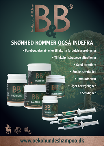 Plakat 5 (Fodertilskud) 48x68 cm