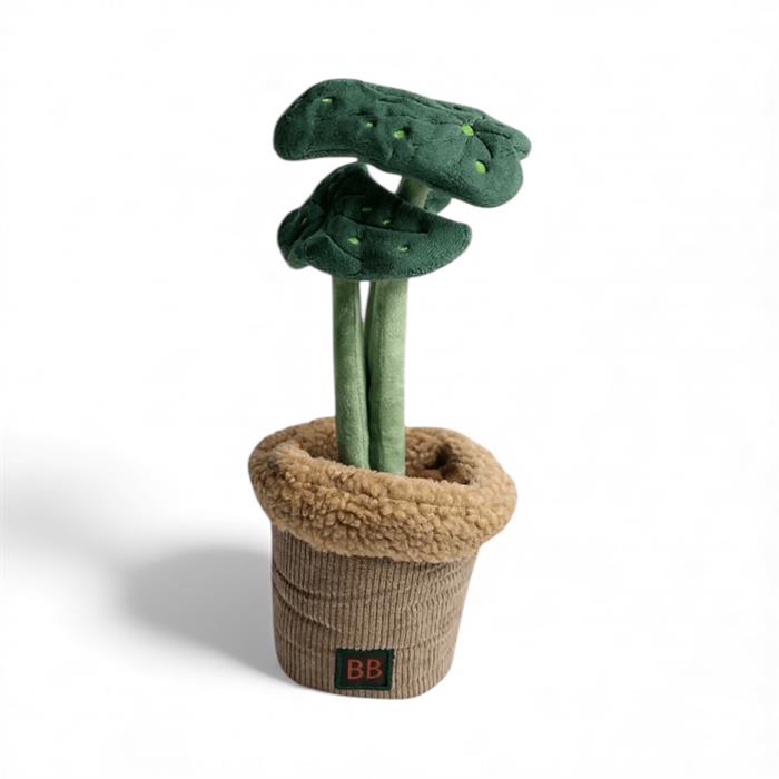 Pawtanic Garden Plante 